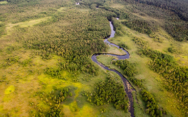 spływy kajakowe Rospudą