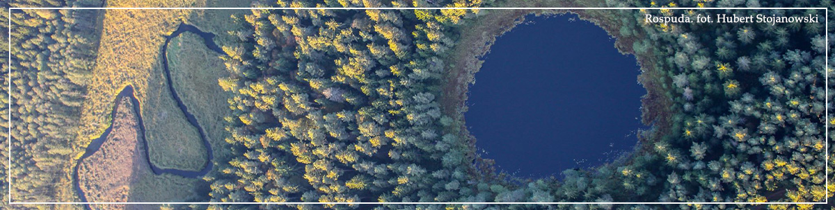 domek do wynajęcia Rospuda